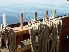 080508_Roald_Amundsen 430
